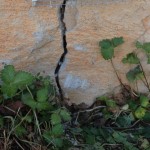 Cracked Foundation 1
